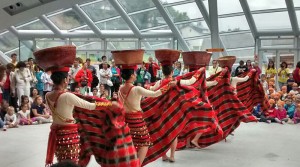 Galería de imágenes del Festival Folklórico 30/07/2015