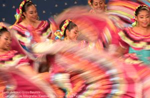 II Concurso de fotografía ”Festival Folklórico de los Pirineos”