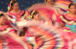 II Concurso de fotografía ”Festival Folklórico de los Pirineos”