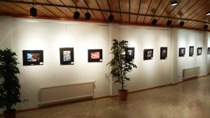 La exposición está compuesta por cuarenta fotografías seleccionadas entre las presentadas al Concurso de fotografía “Festival Folklórico de los Pirineos” que, organizado por el Ayuntamiento de Jaca con la colaboración del Círculo Fotográfico de Jaca, se convocó dentro del programa de actividades de la 49 edición del Festival Folklórico de los Pirineos, el pasado mes de agosto.